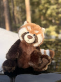 Anniversary Ronnie by Charlie Bears
